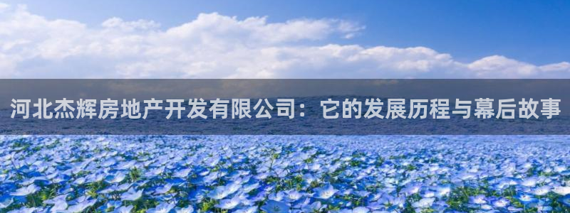 永利来织带厂