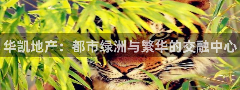 永利置业