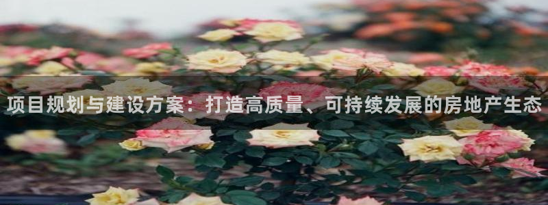 永利运动鞋