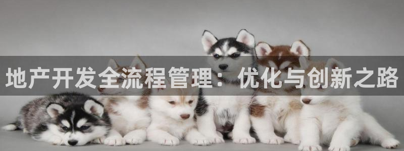苏州金沙永利