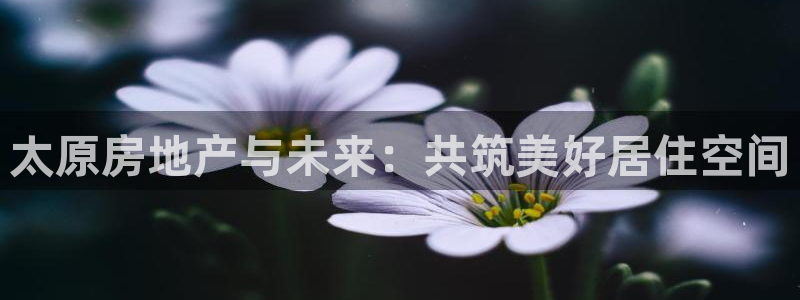 永利贵宾厅出不了款怎么办