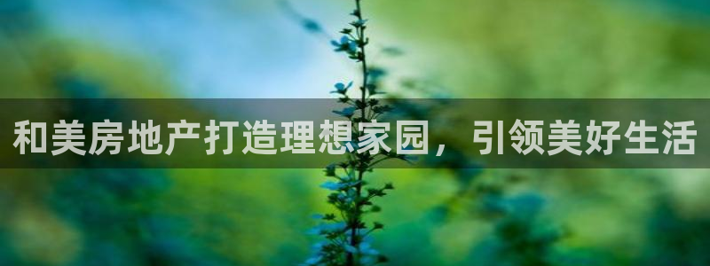 滨州永利集团