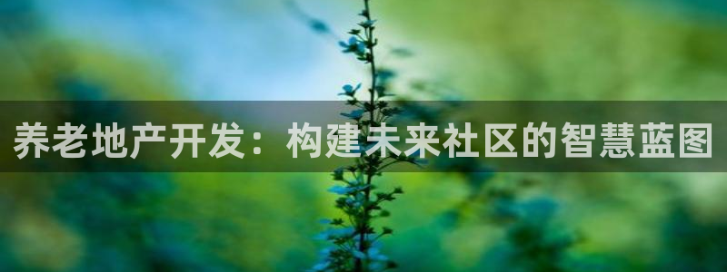 永利皇府黄立青身价