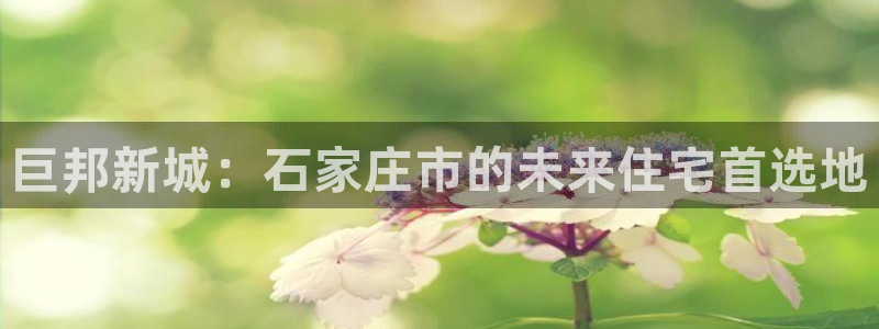 永利地产