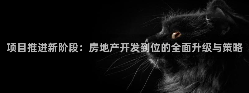 永利集团董事长什么级别